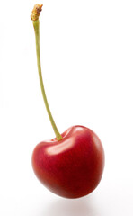 Einzelne Kirsche mit Stengel auf weissem Fond als Freisteller