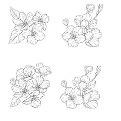 Floral Line Art, Sakura Flower Outline Illustration Set. Hand Painted Doodle Flowers. Perfect for wedding invitations, bridal shower and floral greeting cards. Black and white stencil flowers isolated