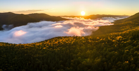 Plakat Aerial view of amazing scenery with foggy dark mountain forest pine trees at autumn sunrise. Beautiful wild woodland with shining rays of light at dawn