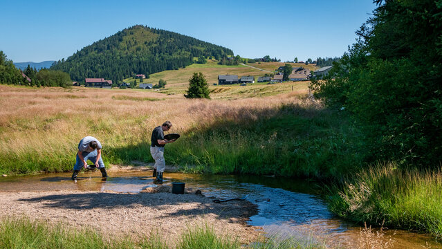 Men are gold panning in mountain streams.