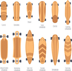 Skateboard types. Wood deck skateboards, boardwalk longboard different shapes hipster teenager skater retro skateboarding street freeride board balance, neat vector illustration