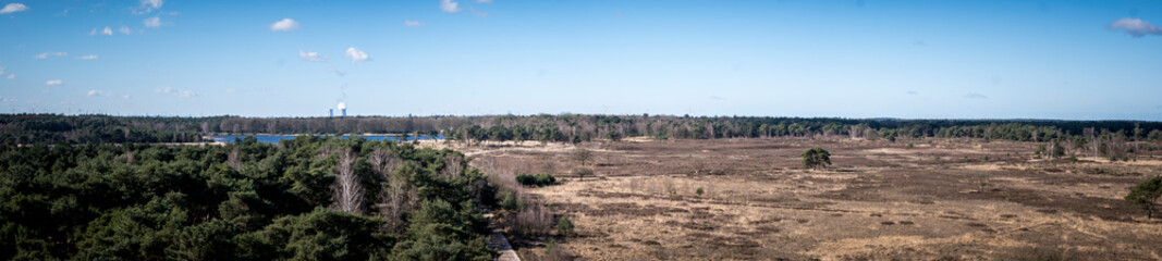 High angle panorama view on Kalmthout Heath in Flanders, Belgium