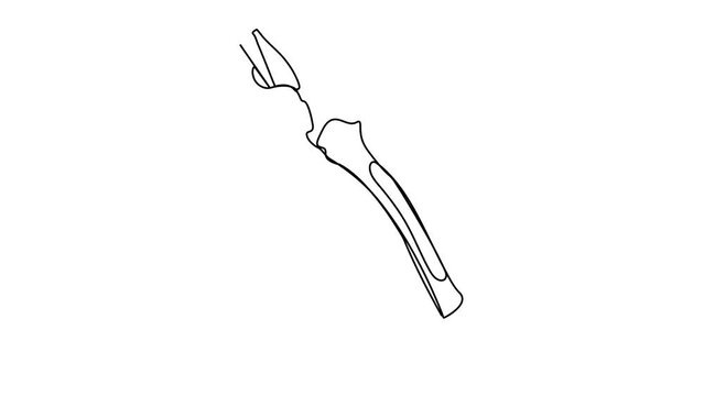 Continuous line  industrial tools