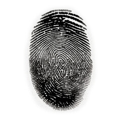 Identity fingerprint on white background