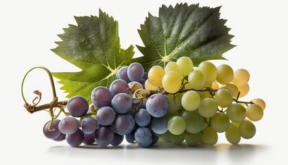 A bunch of grapes photoreal illustration on white background can easily be isolated generative ai	