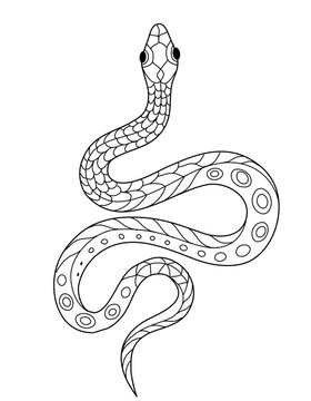 Hand drawn monochrome Snake. Coloring page for kids and adults. Ancient serpent, antique symbol. Drawings for poster. Linear vector drawing.