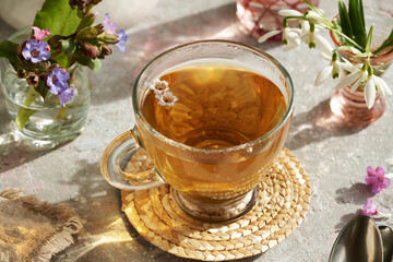 A cup of lungwort or pulmonaria herbal tea in early spring