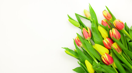 Bouquet of tulips on a white background, copy space. Mother's Day