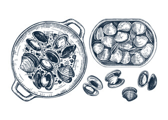 Cooked clams with herbs on plate illustration. Shellfish and seafood restaurant design element. Hand drawn canned clams in tin can sketch isolated on white background. For menu, recipes, packaging