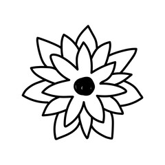  flower line on white background vector illustration using for decoration of text, cards, invitation. Sketch of leaves and flowers.