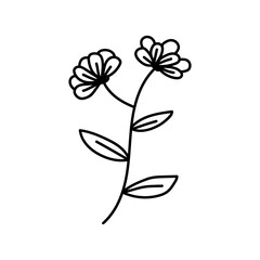  flower line on white background vector illustration using for decoration of text, cards, invitation. Sketch of leaves and flowers.