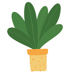 Plant Pot hand drawn