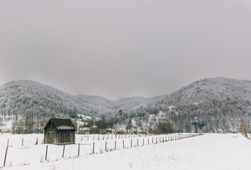 snow covered house
