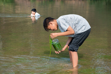Asian boy holds transparent plastic tube to keep freshwater algae which grows and flowing along the...