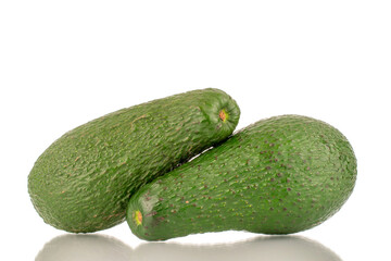 Two juicy avocados, macro, isolated on a white background.