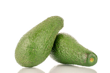 Two juicy avocados, macro, isolated on a white background.