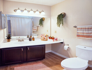 classic neat bathroom with wall mirror, lavatory pan, and vanity