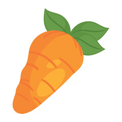 carrot vegetable food