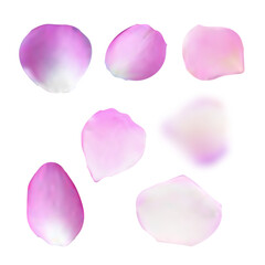 Pink rose petals realistic collection. Pastel colors romantic petal set for greetings. Vector