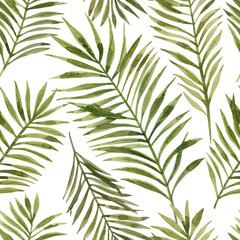 Green palm leaf pattern. Tropical plants. Watercolor botany.