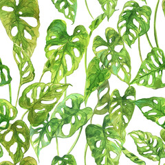 Green palm leaf pattern. Tropical plants. Watercolor botany.