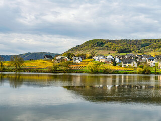 Ellenz-Poltersdorf village houses and colourful vineyards on Moselle river during a couldy day, Germany