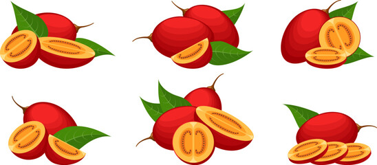 Tree tomato fruits