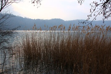 Italy, Trentino Alto Adige: Foreshortening of Levico Lake.