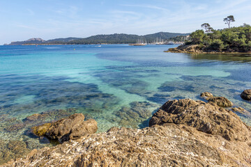 Fototapeta premium Beach in Porquerolles, French Riviera