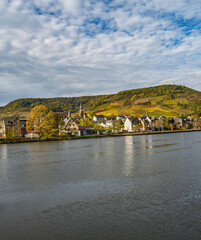 Fototapeta na wymiar Ellenz-Poltersdorf village houses and colourful vineyards on Moselle river during fall, Germany