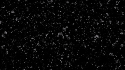 White ash or dust particles, flying and floating on air, overlay a black background in this still shot. - obrazy, fototapety, plakaty