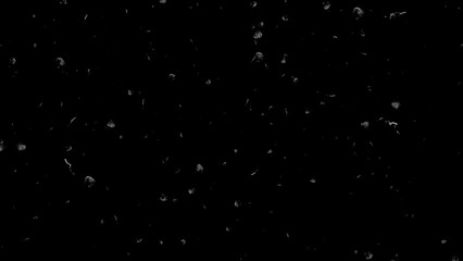 White ash or dust particles, flying and floating on air, overlay a black background in this still shot.