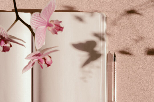 Open jornal flatlay on pastel pink background, aesthetic shadows and flowers, spring