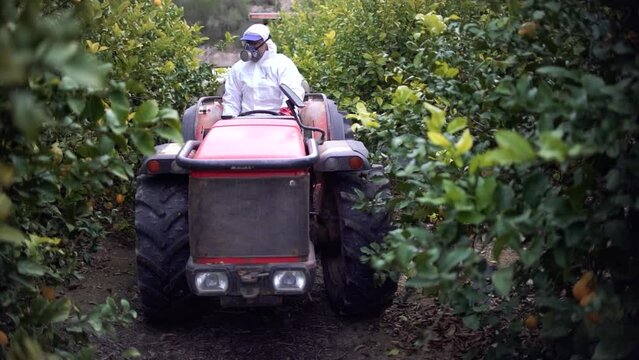 Tractor spraying pesticide drone aerial view, pesticides or insecticide spray on lettuce or iceberg field. Pesticides and insecticides on agricultural field in Spain