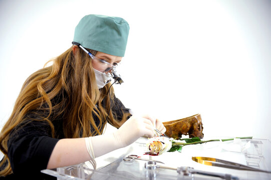 laboratory research study of structure of living organism dissect rose cut sew up tissue female doctor special tool magnification microscope in surgical Illuminator with safety glasses and binoculars