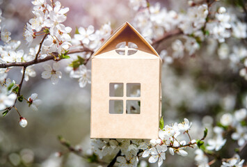 symbol of the house among the white cherry blossoms
