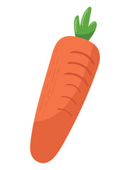 carrot vegetable icon