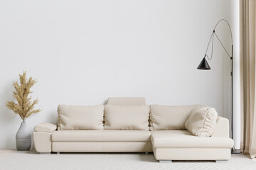 big white living room.interior design,white sofa,carpet ,black lamp and tree in vase,wall for mock up and copy space