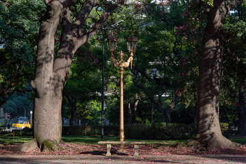 Fototapeta premium Plaza San Martin Retiro Buenos Aires Argentina primavera en la Ciudad de Buenos Aires.