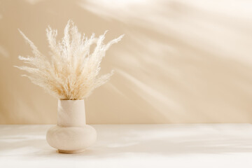 Aesthetic ceramic vase with pampas grass on the table with warm shadows and copy space. Eco...
