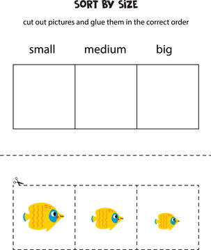 Sort yellow butterfly fish by size. Educational worksheet for kids.