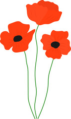 Fototapeta premium Set Flowers poppy vector illustration