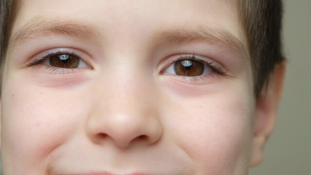 The look of a smiling 5-year-old boy looking into the camera, brown eyes, close-up