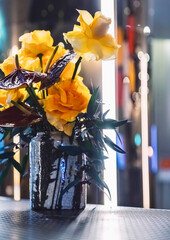Roses in Vase with colourful lights background.
