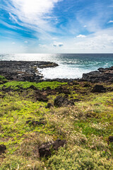 The coast along Keoniloa Bay, Kauai, Hawaii