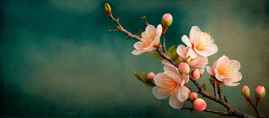 Wall murals Khaki Closeup of spring pastel blooming flower in orchard. Macro cherry blossom tree branch.