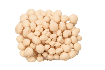 White beech mushrooms isolated on a white background.