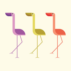 Colorful flamingo in row cute character design. Three standing flamingo flat vector design for animal related illustration.