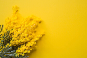 Bouquet of mimosa on a yellow background. View from above. The concept of spring in the house and International Women's Day on March 8.