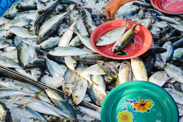 Sea tuna fish sell in fishery market people buy fish